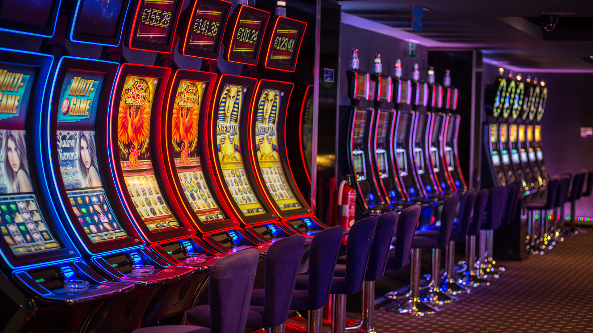 Luckydino 20 free spins no deposit bonus